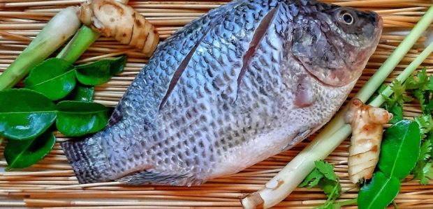 US Woman Battles Devastating Infection After Consuming Undercooked Fish