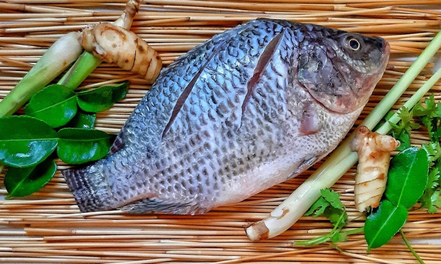 US Woman Battles Devastating Infection After Consuming Undercooked Fish