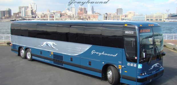 Mexico's Best with Greyhound!
