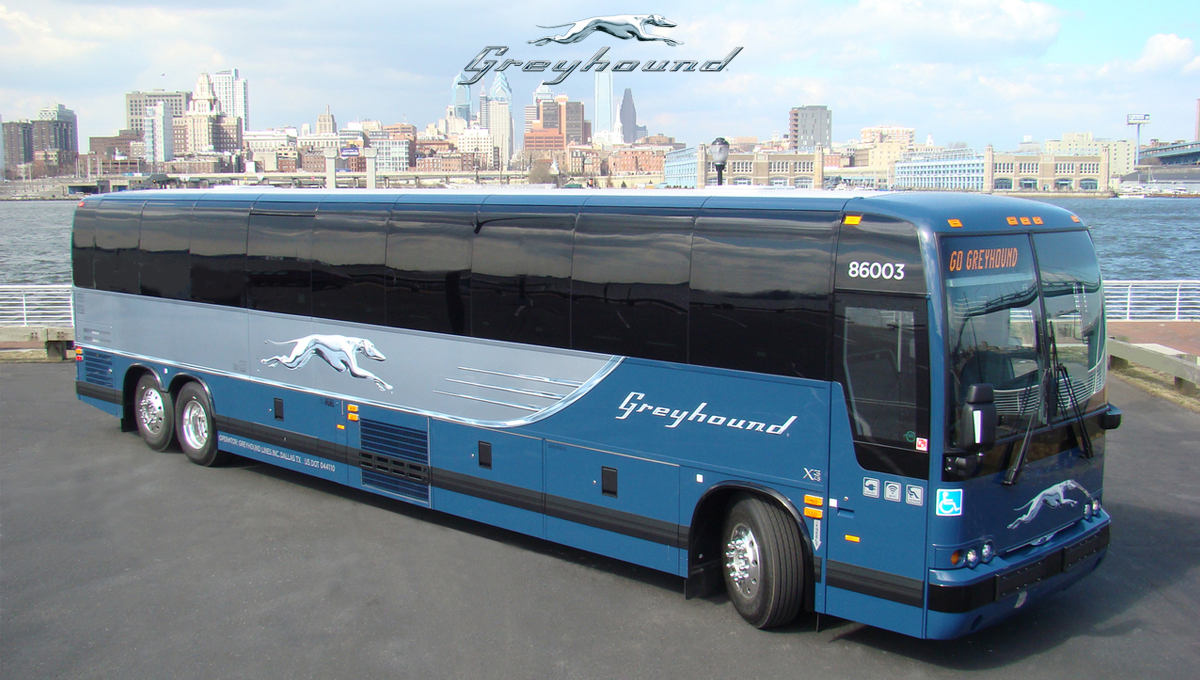 Mexico's Best with Greyhound!